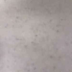 Meet your Posher, Josiah